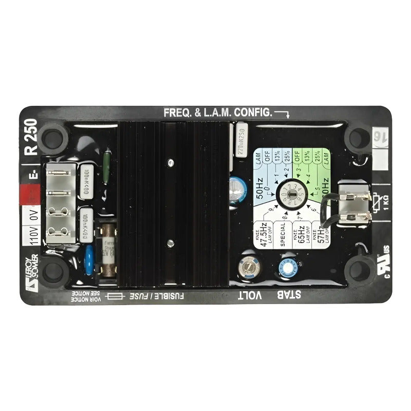 Regulador De Voltaje Avr R250 Para Leroy Somer