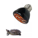Ampolleta Ceramica De Calor Reptiles Incubadora E27 50w