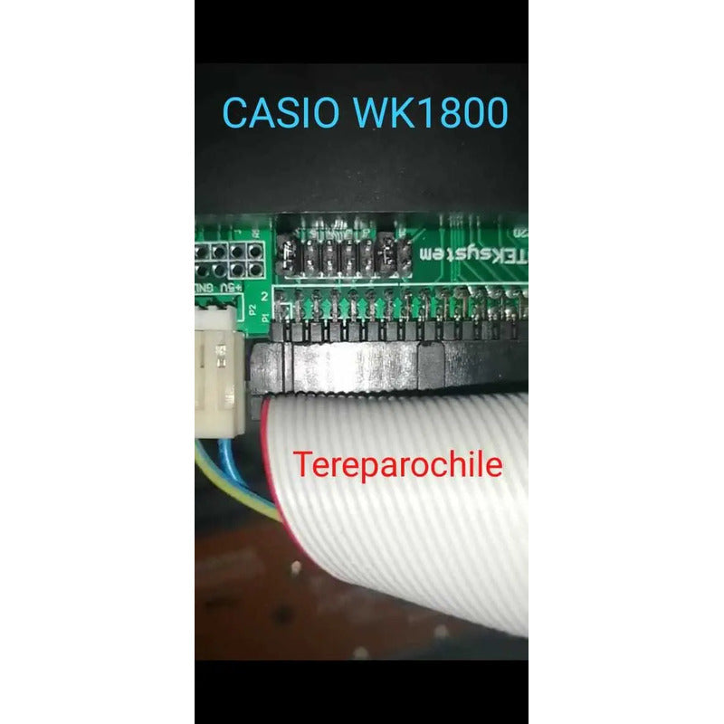 Floppy Usb Teclado Emulador Diskette Pendrive Ctk 811 Wk1800